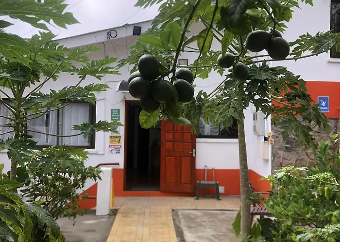Papaya Villa Misere