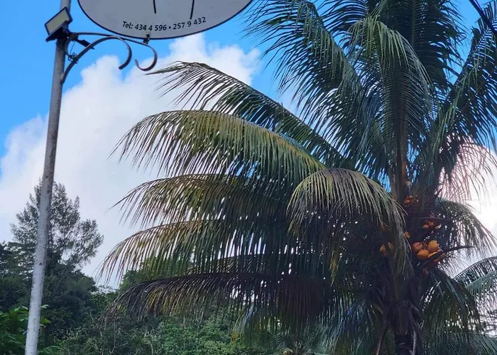 Villa Papaya