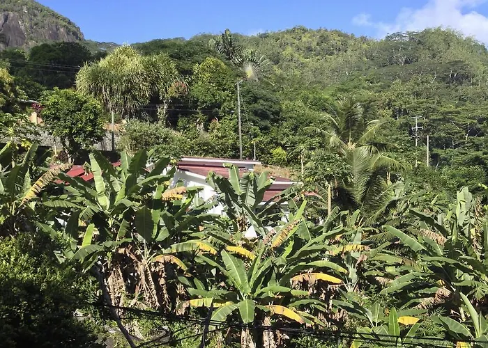 Papaya Villa *